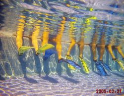 Fin Initiation. Just neat to look at. by Thierry Tremblay 